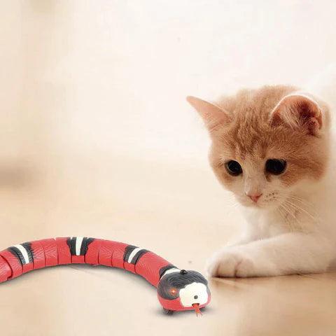 PounceCat - O Brinquedo Ativo para Gatos - sunare